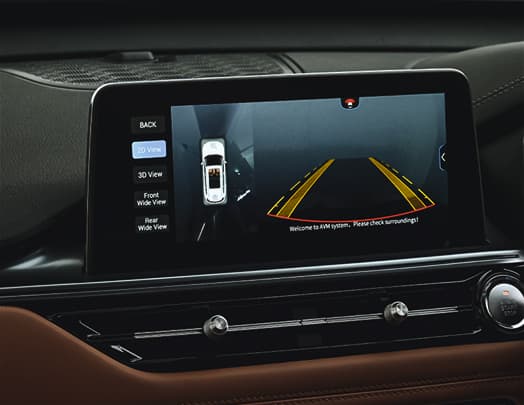 Blind Spot Detection