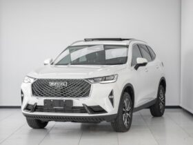 2024 Haval H6 2.0T Luxury 7DCT 4WD