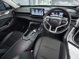 
										2024 Haval H6 2.0T Luxury 7DCT full									